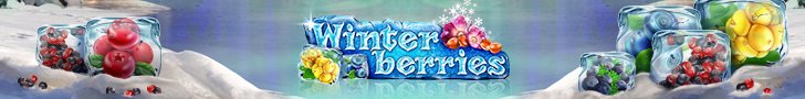 winterberries