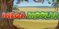 Mega moolah banner