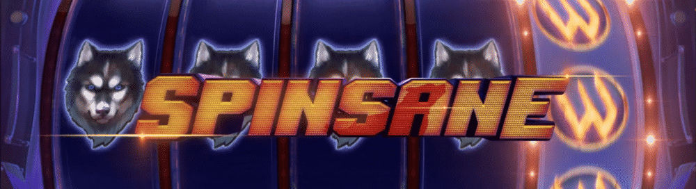 spinsane-banner