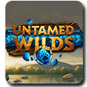 Untamed Wilds - Yggdrasil Gaming Video Slot