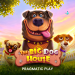 Pragmatic Play™